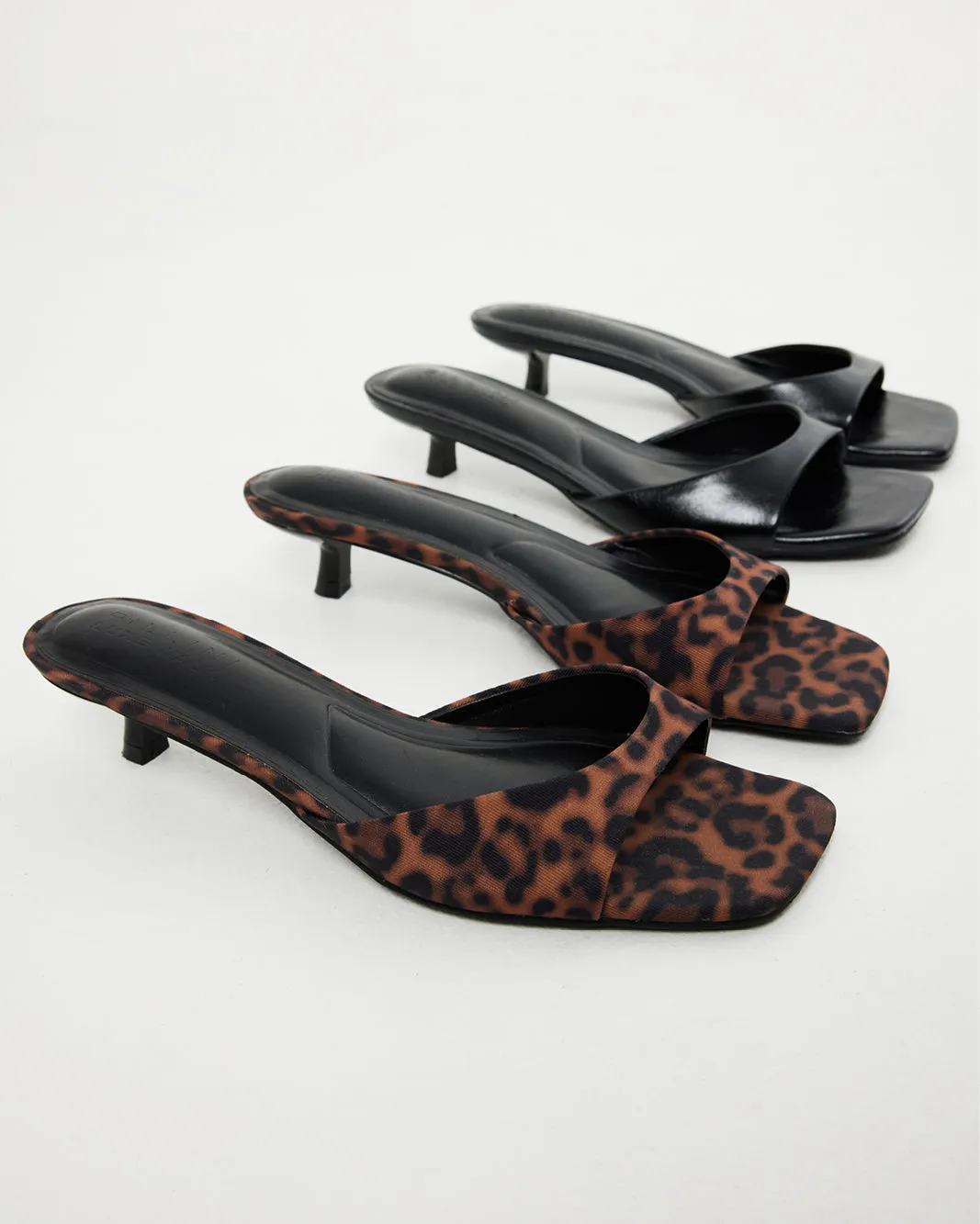 BRODY - LEOPARD