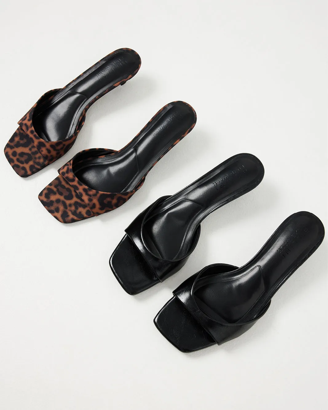 BRODY - LEOPARD