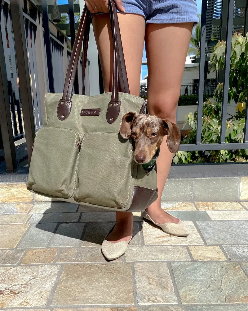 DjangoTote™ Waxed Canvas Dog Carrier Bag and Pet Travel Tote