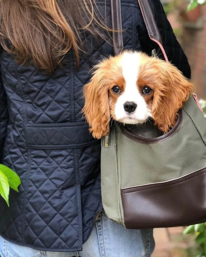 DjangoTote™ Waxed Canvas Dog Carrier Bag and Pet Travel Tote