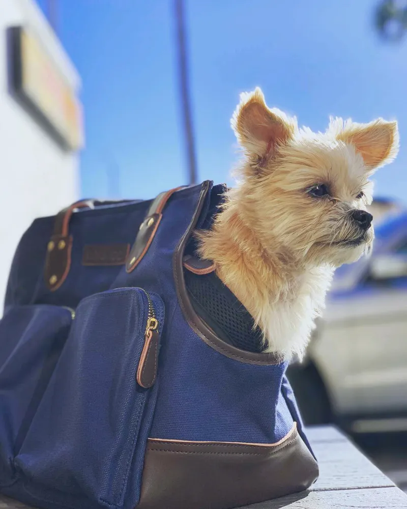 DjangoTote™ Waxed Canvas Dog Carrier Bag and Pet Travel Tote